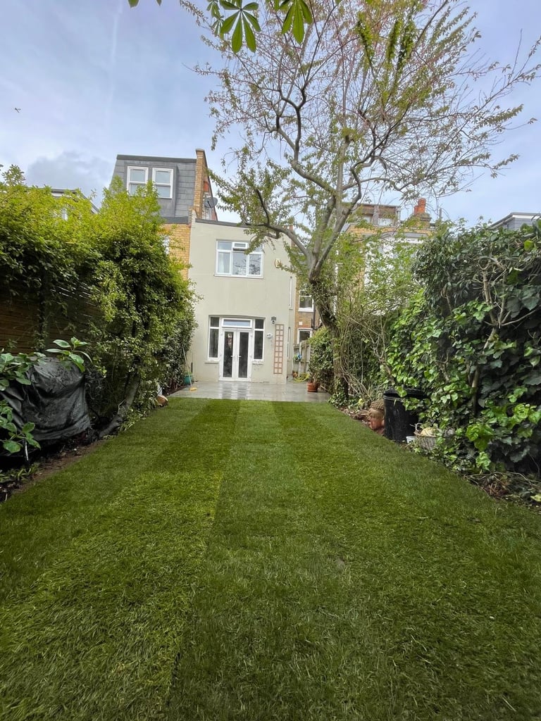 Cream-colored residential house with green lawn garden, bordered by ivy-covered fences and a large gnarled tree, viewed from the back garden